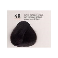 GW Topchic   4-R   dunkel-mahagoni 60ml gallery