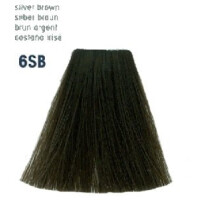 GW Topchic   6-SB  silber braun 60ml gallery