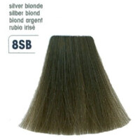 GW Topchic   8-SB  silber blond 60ml gallery