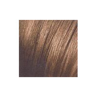 GW Tc-Depot  6-GB  dunkelblond goldbraun gallery