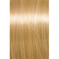 Solutions 40 cm 13 10er spez.blond asch  gallery