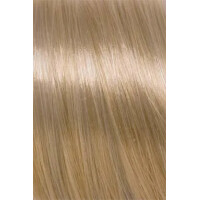 Solutions 40 cm 51 light bl.li. gold 10e gallery