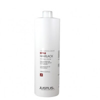 Styl Haarlack 1000 ml