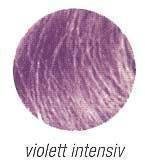 Color Mousse Farbfönschaum Violett Intensiv 200ml Violett Intensiv
