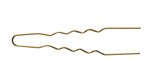 Lockennadeln dünn gold 50er Btl 45x0,55mm Curler pins thin, 45 x 0,55 mm, gold (bag of 50) 